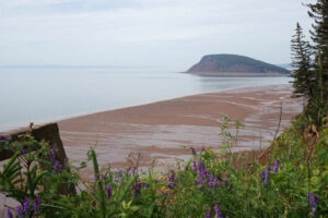 Five Islands Provincial Park: Explore Clifftop Trails to Tidal Views on Your Bay of Fundy Itinerary