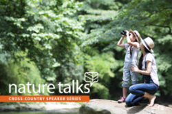 City of Life: Rediscovering Nature in Your Own Backyard