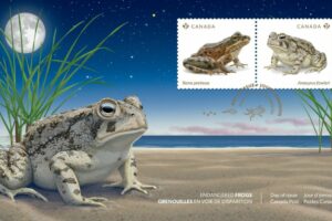 Canada Post Highlights Endangered Frogs With New Stamp Series