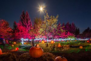 25 Fall Activities and Getaways in New Brunswick