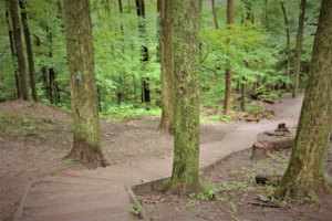 Thornton Bales Conservation Area: 99 Steps to a Fabulous Ravine Lookout in Greater Toronto Area