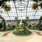 March Break Flower Show: Step into Spring as Spectacular Orchids Fill This Floral Showhouse
