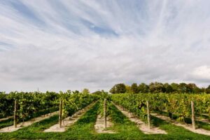 Things to Do in Niagara-on-the-Lake