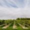 Things to Do in Niagara-on-the-Lake
