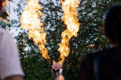 What to See & Do at Calgary’s Free Night Light Festival This Weekend