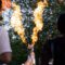 What to See & Do at Calgary’s Free Night Light Festival This Weekend