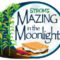 Night Maze at Strom's Farm