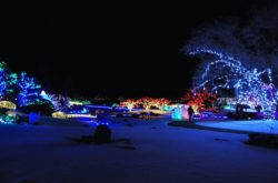Must Visit Places to See Magical Christmas Light Displays in Alberta - 2025