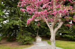 Things to Do on a Spring Trip to Lethbridge
