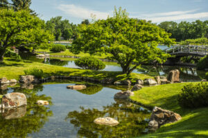 5 Reasons to Visit Lethbridge’s Japanese Garden Before Summer Ends