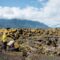 Nisg̱a'a Memorial Lava Bed Park - Hike Volcanic Craters, Explore Lava Trails, Towering Waterfalls, and First Nations History in One Unforgettable Destination
