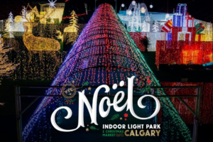 Noel Christmas Light Park & Market