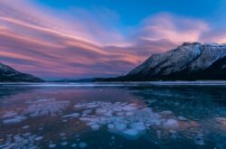 5 Ways to Explore Gorgeous Ice Bubbles of Abraham Lake in Alberta