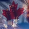 North Middlesex Canada Day Fireworks