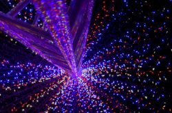 North Rustico Lights: A Must-Visit Destination For a Seaside Christmas Celebration