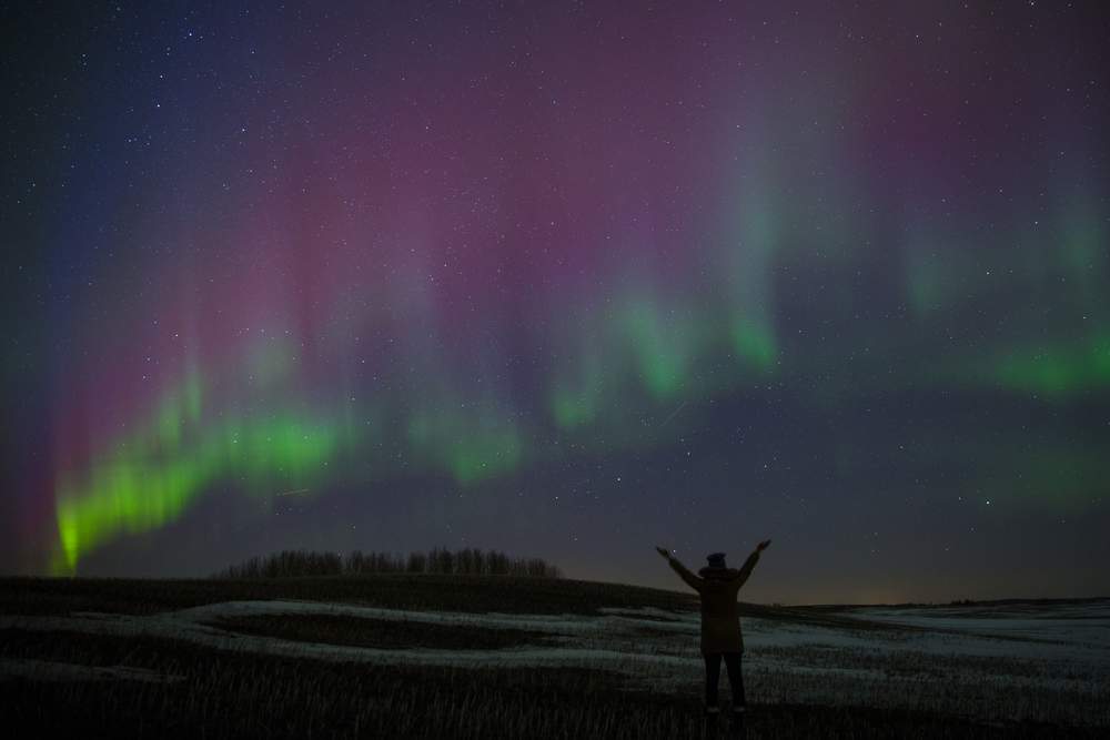 Edmonton Tourism