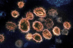 All Publicly Funded Schools in Ontario to Close From March 14 to April 5, 2020 Due to Coronavirus Concerns