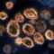 All Publicly Funded Schools in Ontario to Close From March 14 to April 5, 2020 Due to Coronavirus Concerns