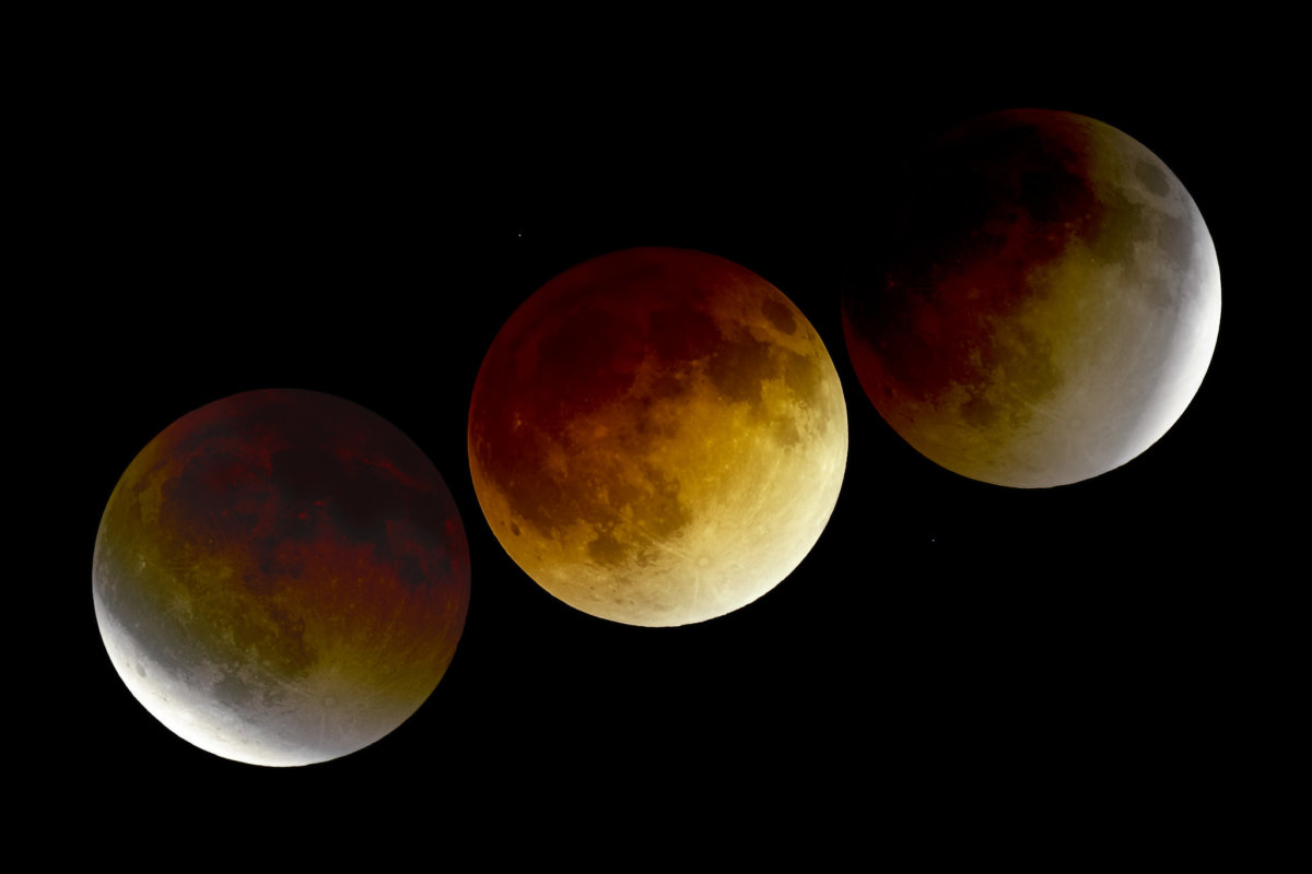 Nov 8th Beaver Blood Moon See the Last Lunar Eclipse of 2022 To Do
