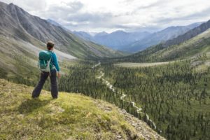 What is Allowed at Parks Canada National Parks and Historic Sites From June 1