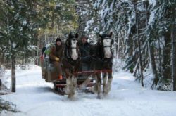 Outdoor Winter Activities in Fredericton
