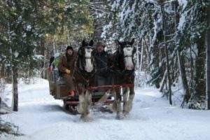 Outdoor Winter Activities in Fredericton