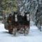 Outdoor Winter Activities in Fredericton