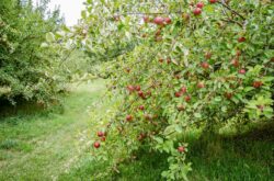 Things to Do This October in New Brunswick