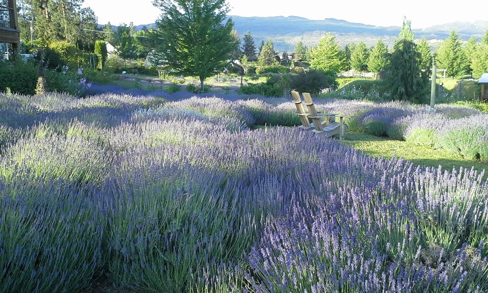 25 Bucket List Activities in the Okanagan Valley