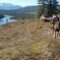12 Places For Ranch Vacations and Western-Themed Getaways in Alberta