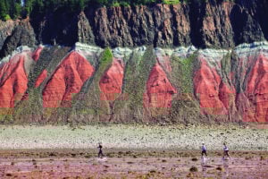 50 Things to Do at Fundy GeoPark
