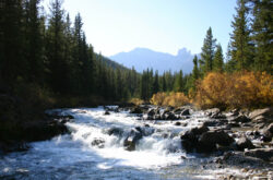 50 Things to Do in Alberta This Labour Day Weekend - 2026
