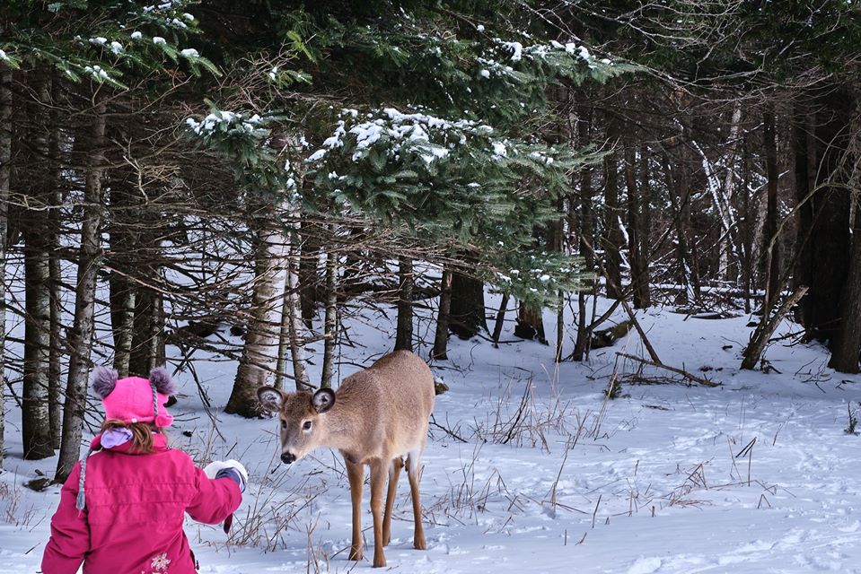 20 Things to do with a Toddler in Ottawa