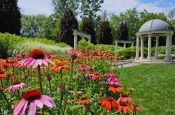 Explore Oshawa This Summer: From Waterfront Trails to Tank Battles and Rich Automotive Heritage