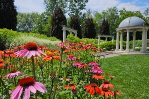 Explore Oshawa This Summer: From Waterfront Trails to Tank Battles and Rich Automotive Heritage