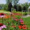 Explore Oshawa This Summer: From Waterfront Trails to Tank Battles and Rich Automotive Heritage