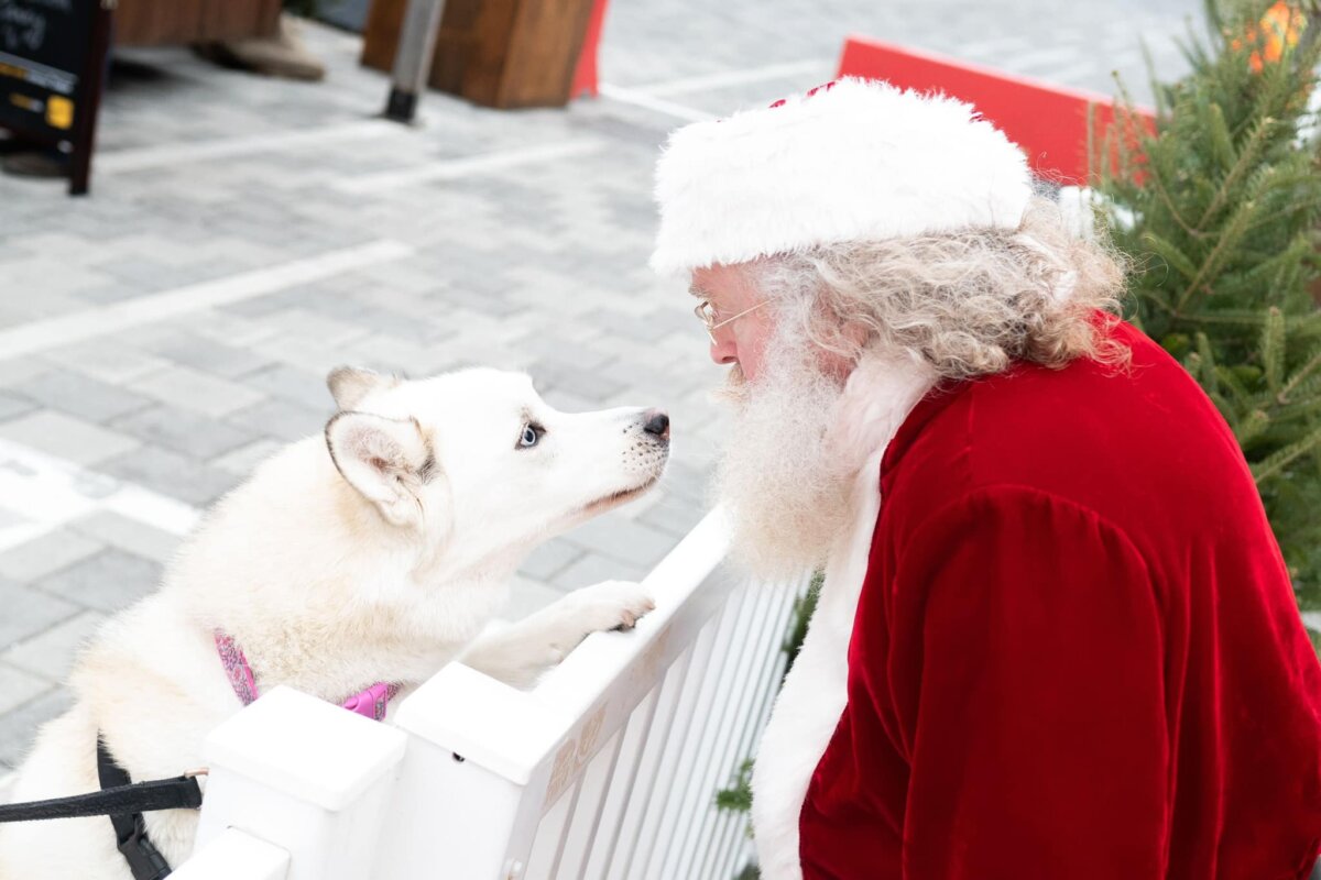 Sparkling Reasons to Visit Ottawa’s Christmas Market This Holiday Season