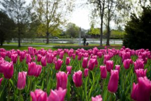 25 Must Visit Nature Attractions and Nature Hotspots in and Around Ottawa
