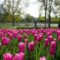 25 Must Visit Nature Attractions and Nature Hotspots in and Around Ottawa