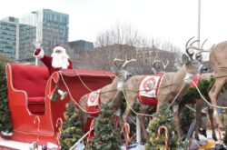 Help Santa Toy Parade