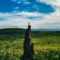 50+ Bucket List Ideas for Summer in Ontario