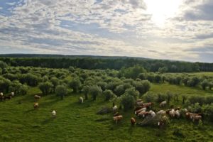 Outdoor Summer Adventures in the Parkland Region