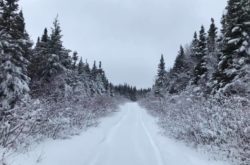 Outdoor Winter Activities in Grand Falls-Windsor