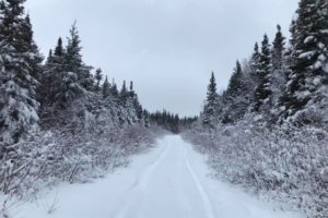 Outdoor Winter Activities in Grand Falls-Windsor