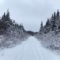 Outdoor Winter Activities in Grand Falls-Windsor