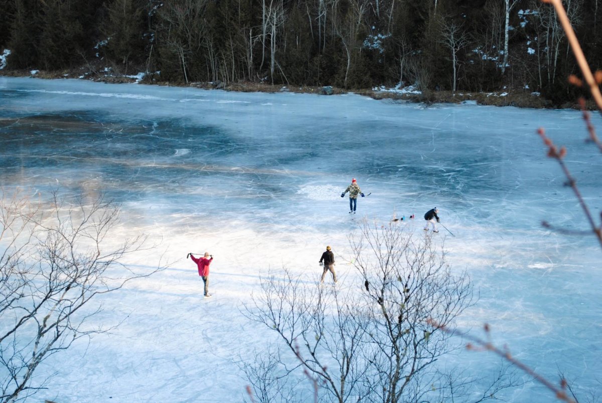 TimberTop Zip Tours: Zipline Across Snow Laden New Brunswick Forest This  Winter