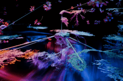 Lumen 2026: What to Expect at Waterloo's Amazing Illuminated Art Festival This Weekend