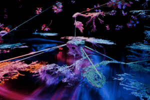 Lumen 2026: What to Expect at Waterloo's Amazing Illuminated Art Festival This Weekend