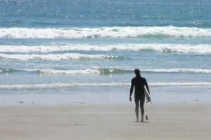 Top 10 Things to Do in Pacific Rim National Park Reserve