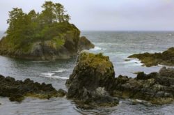 Top 10 Things to Do in Pacific Rim National Park Reserve